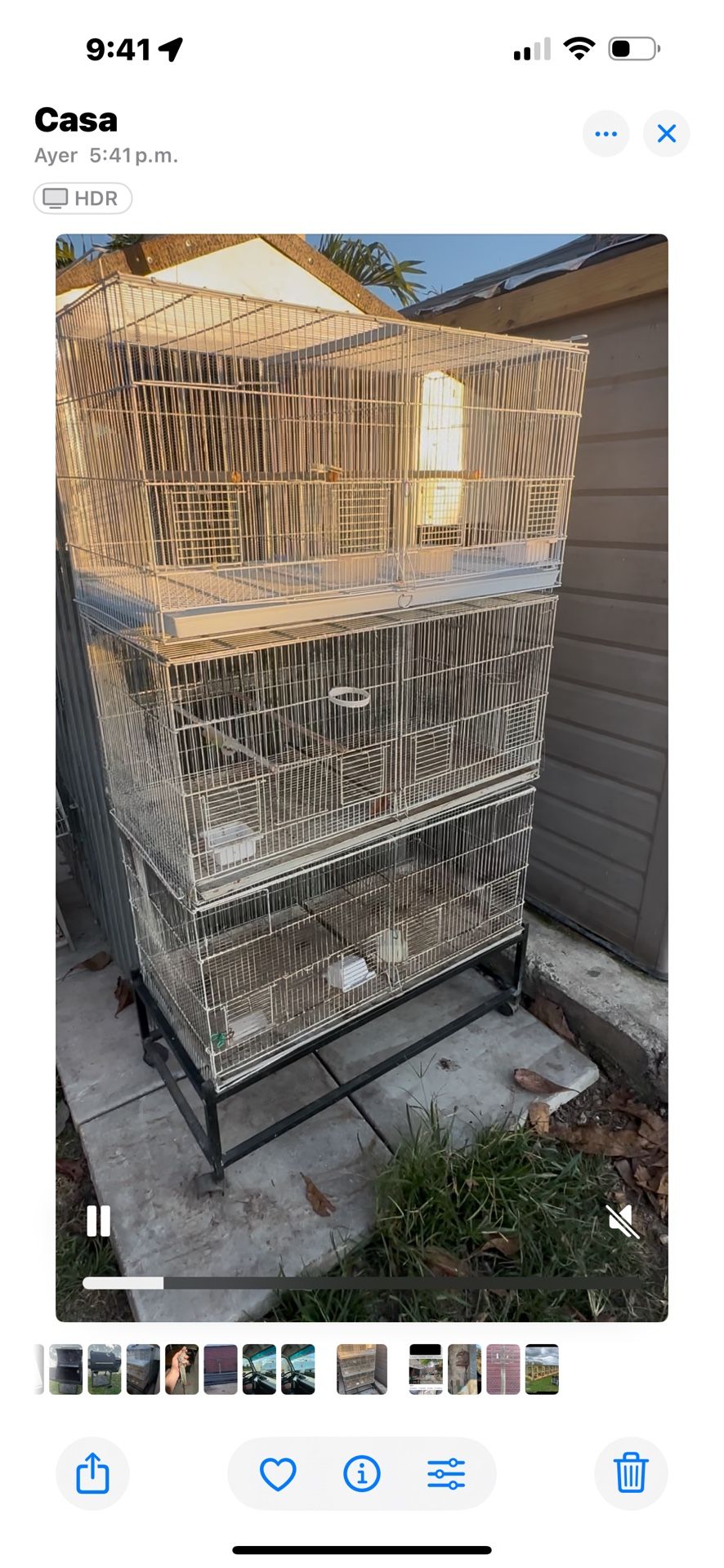 Cage 