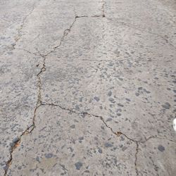 I'll Pick Up Your Leaves And Get Rid Of Them For You