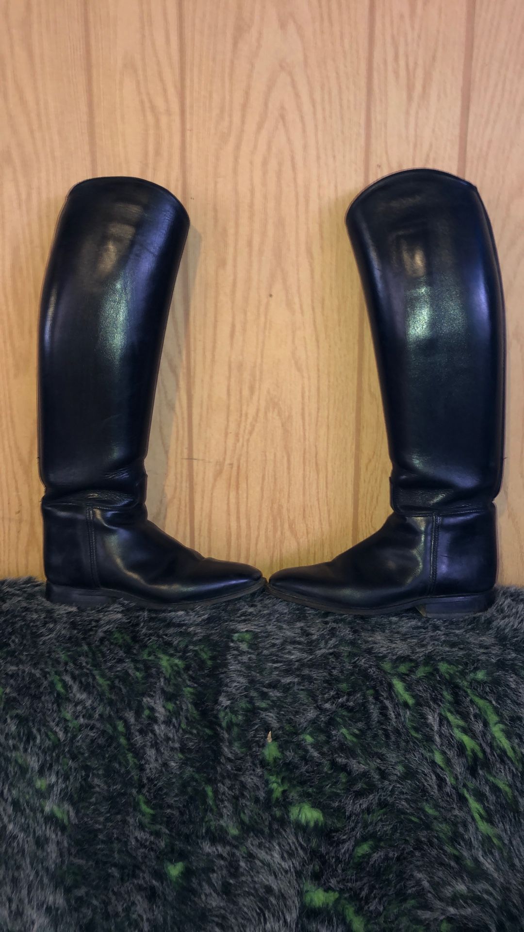 Konig Dressage Boots Size