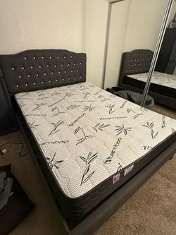 Queen Bed Frame + Mattress