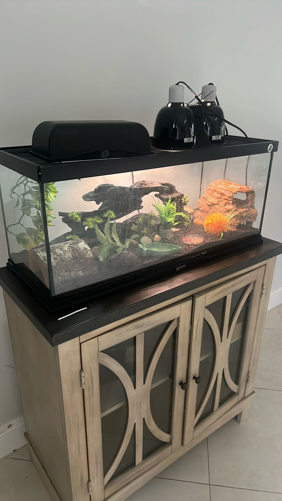 Reptile Tank