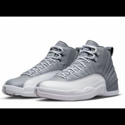 Jordan 12 Retro ( Stealth ) 