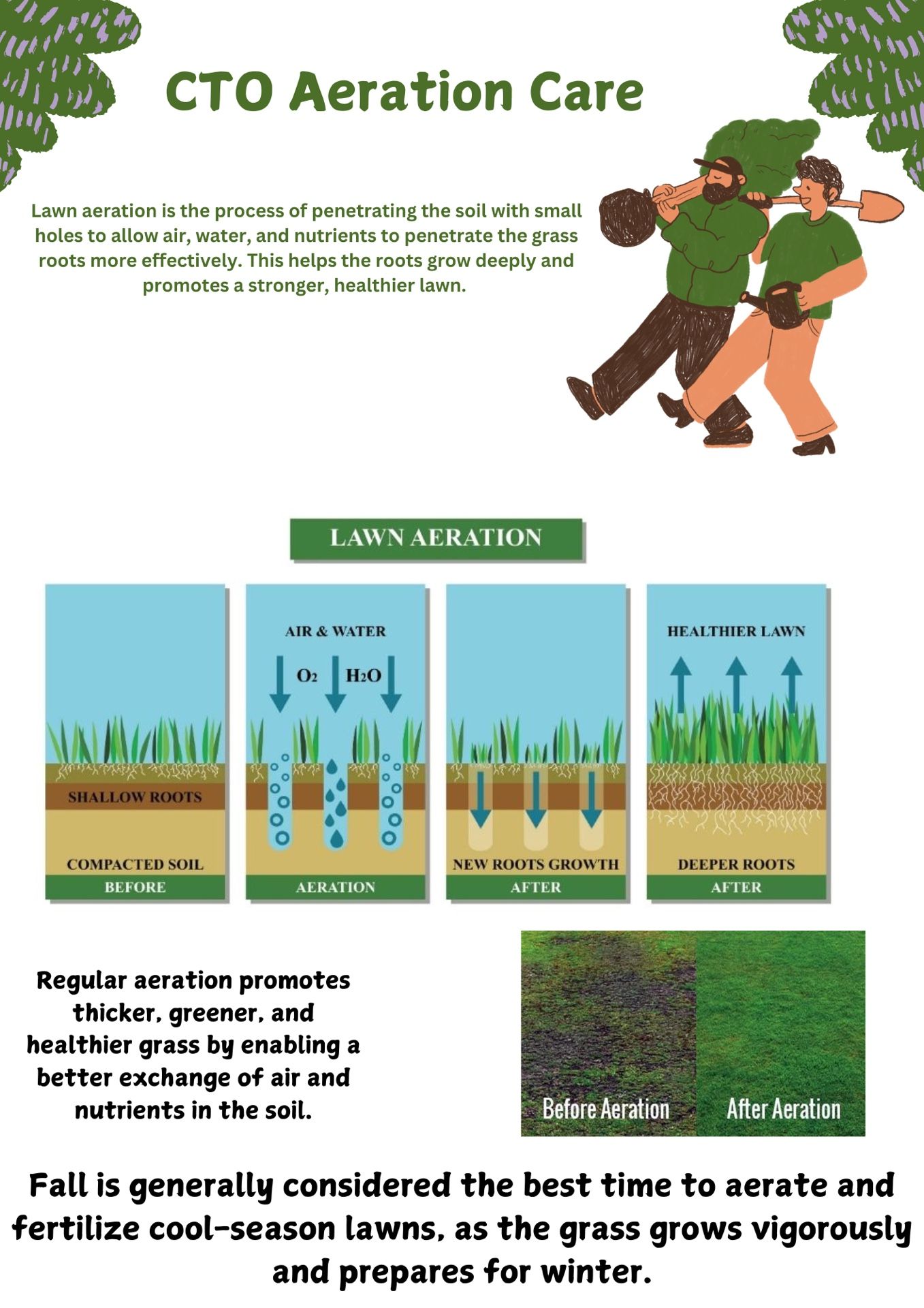 LAWN AERATION