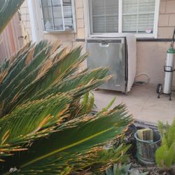 Dishwasher -  Almost New