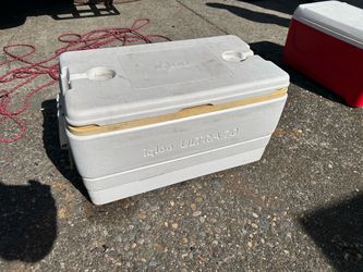 Igloo Cooler in Good shape