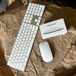 Apple wireless  keyboard and mouse