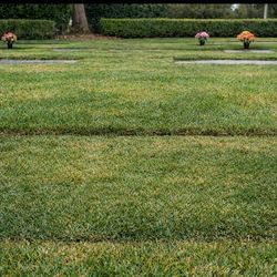 Companion Cemetery Plot for sale  ( Cypress Forest Lawn ) 