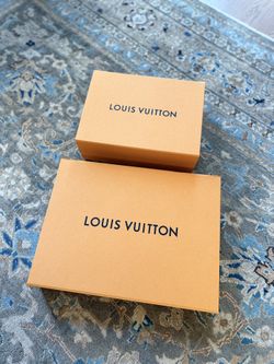 Two Large Louis Vuitton Storage Boxes