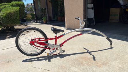 Bike trailer bike