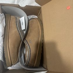 Tasman Uggs Men