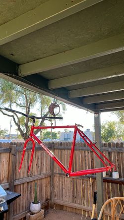 Bridgestone MTB