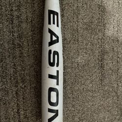 Easton Surge BGS2 Official Baseball Bat