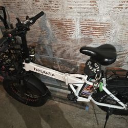 Electric Bike 