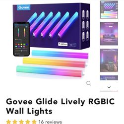 Govee Wall Lights