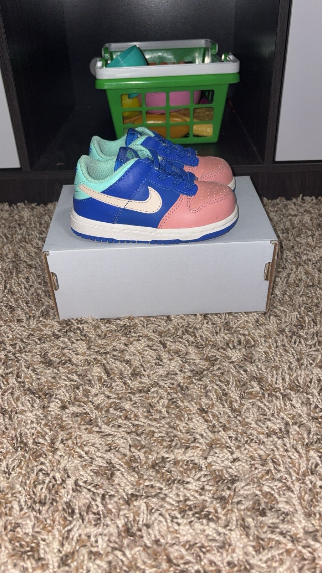 Nike Dunk Toddlers
