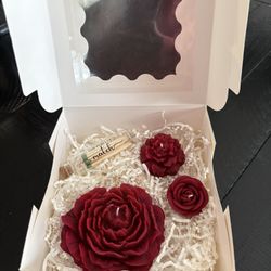 Beautiful Big Candle Rose 🌹 