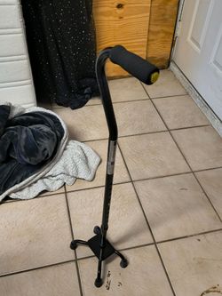 Standing cane