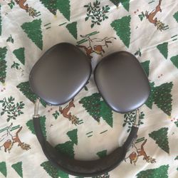 Apple Maxs: Space Gray