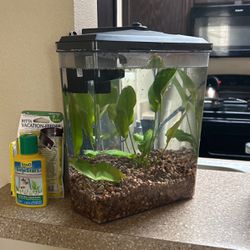 2.5 Gallon Tank With Filter And Light 