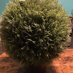 Artificial Cedar Ball In Pot UV (20") - Vickerman