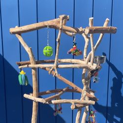 Large Parrot / Macaw Perch Tree … Funky N Curvy Plus Lots Of Extra Thick Spots !