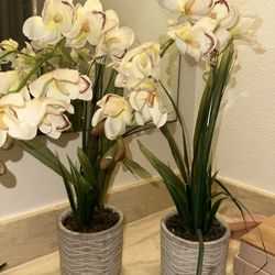 Two Artificial Plants 