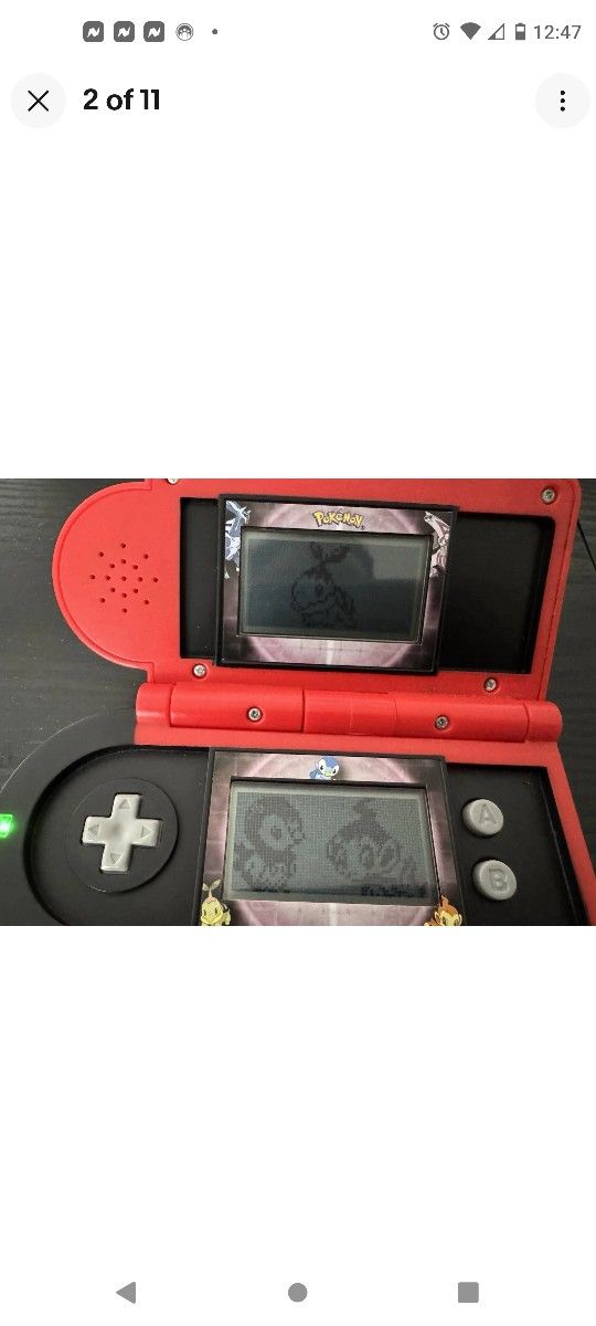 Pokemon Pokedex Dairy