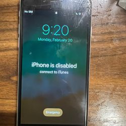 iPhone 6s Disabled 