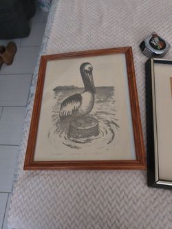 Albatross Pen And ink 15 X12.  /25.00