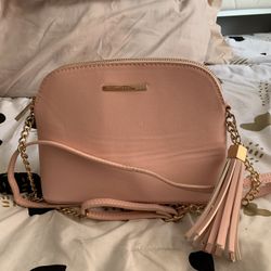 ALDO purse 