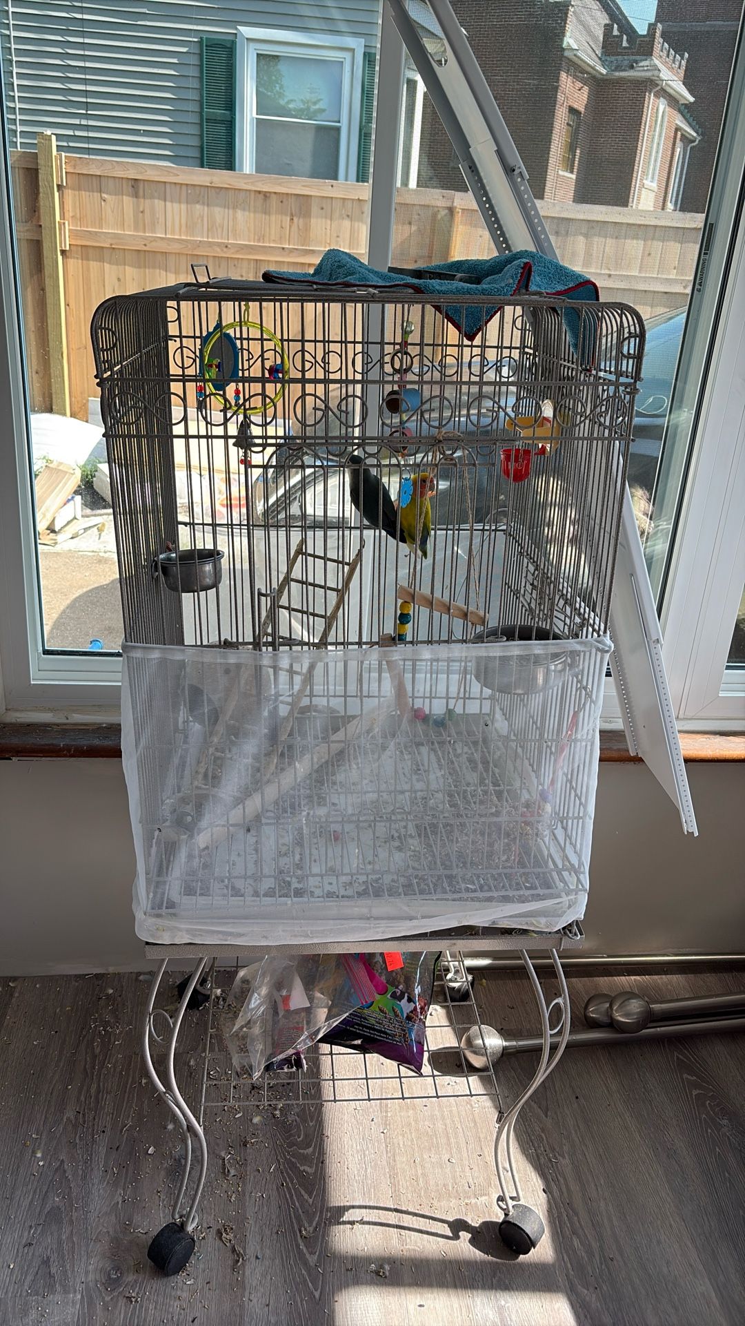 Cage With Toys