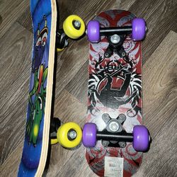 Mini Skateboards 
