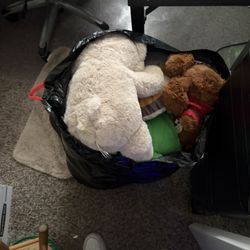 Bag Full Of Stuffed Animals And Plushies 