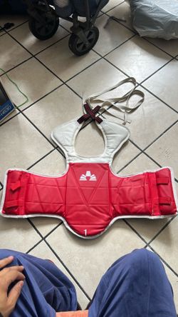 Taekwondo body protector