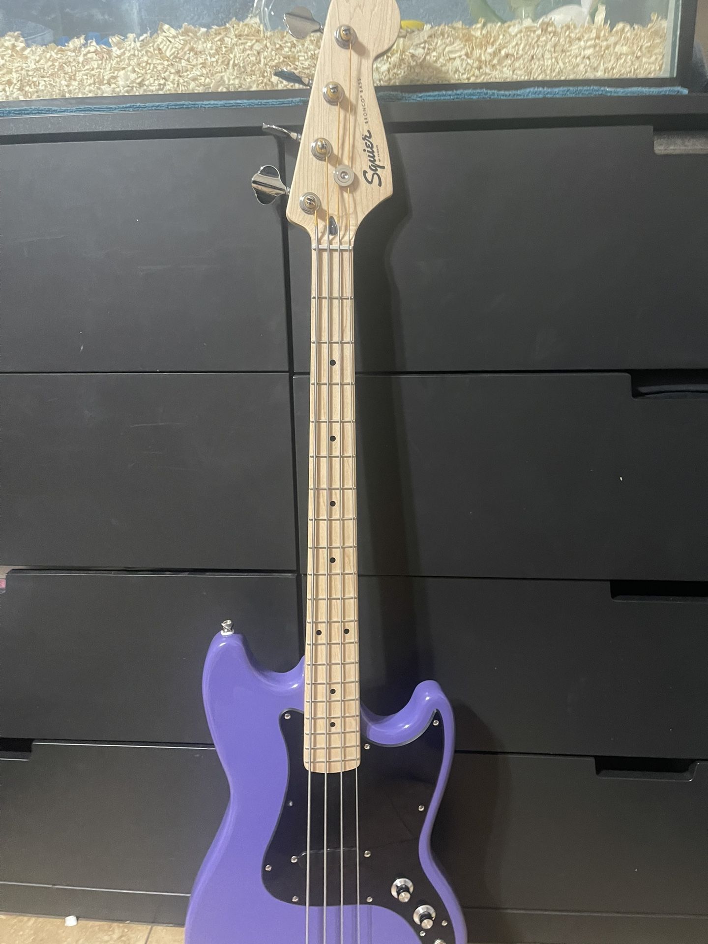 Squire Bass Guitar And Amp 