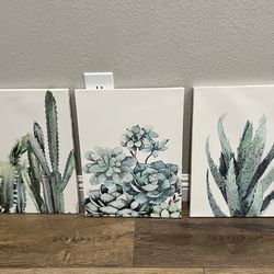 Cactus Picture Set