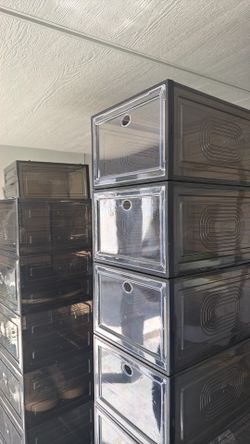 Shoe storage organizers