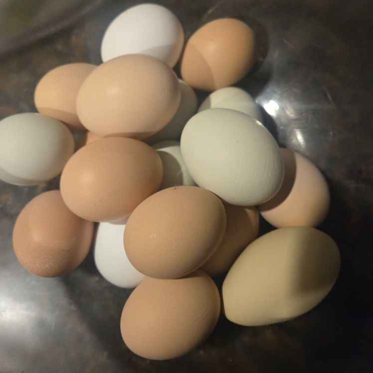 Fresh Eggs $2 & Honey $3