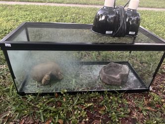 20 Gallon Long Terranium W/light, Cave And Top! 