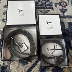 Coach Collar And Leash (size L)