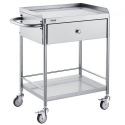 VEVOR Medical Cart, 2-Layer Stainless Steel Cart 220 lbs Weight Capacity, Lab Utility Cart with 360° Silent Wheels and a Drawer for Lab, Clinic, Kitch