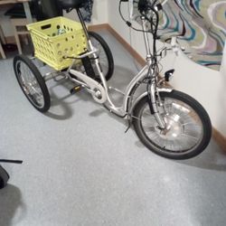 Three Wheeled Trike For Adults.