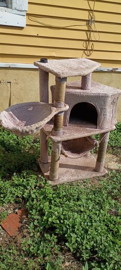 🏠 House for cat 🐱