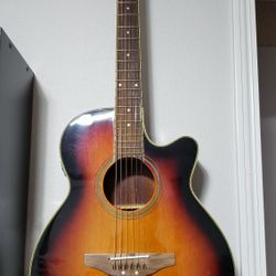 Reed Man Acoustic Guitar 