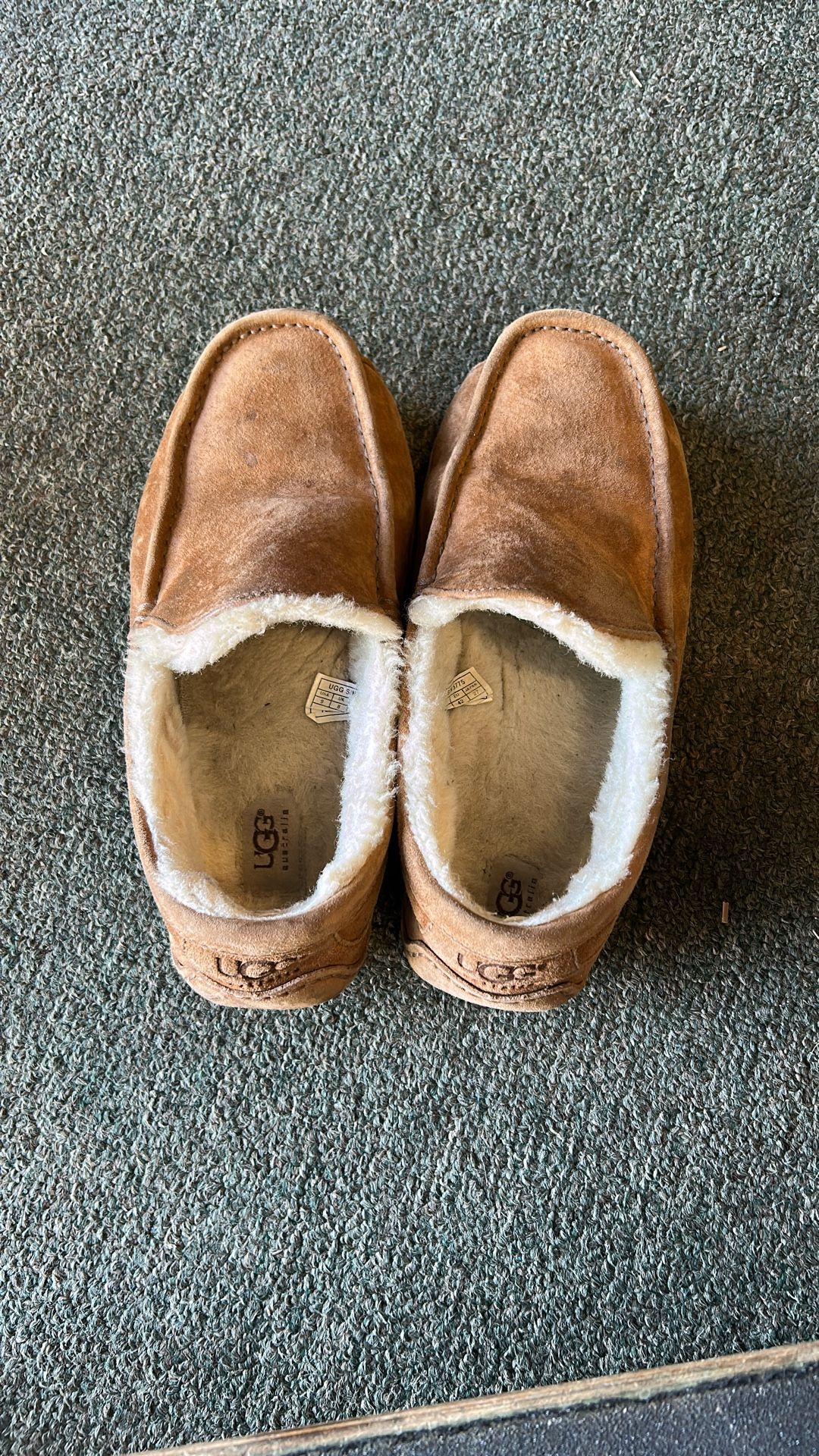 UGG Men's Ascot Slipper