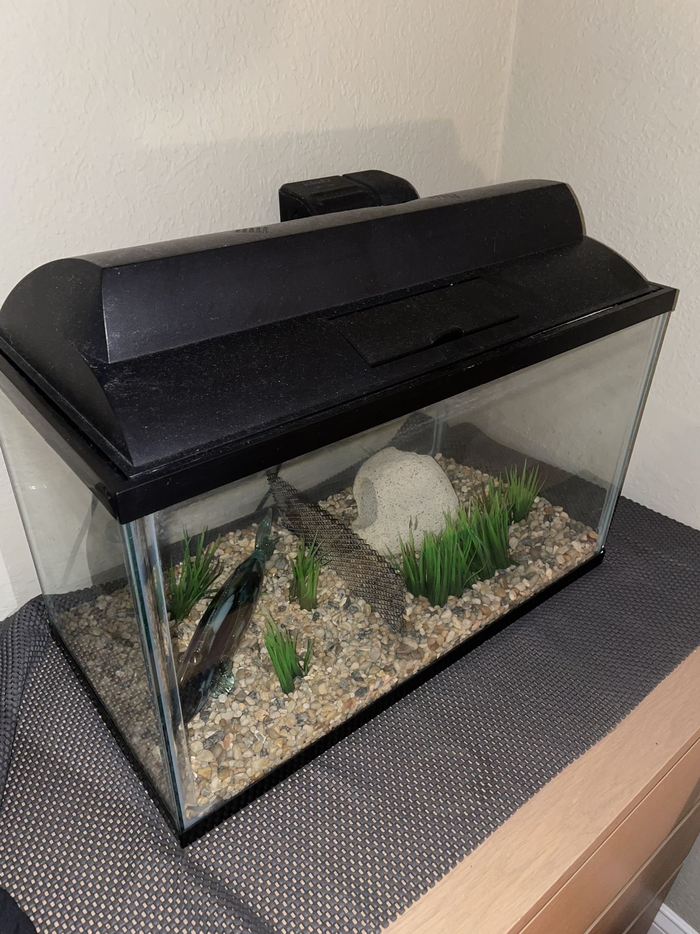 10 Gallon Fish Tank