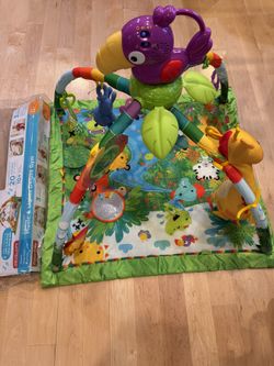 Fisher Price Deluxe Gym