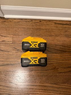 20V MAX Lithium-Ion 10.0Ah Battery (2 Pack)