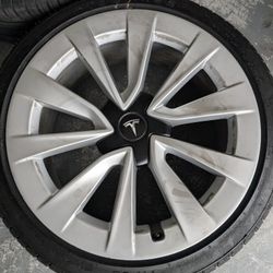 19 Inch Tesla Sport Tires And Wheels