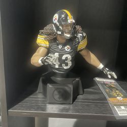 Troy Polamalu